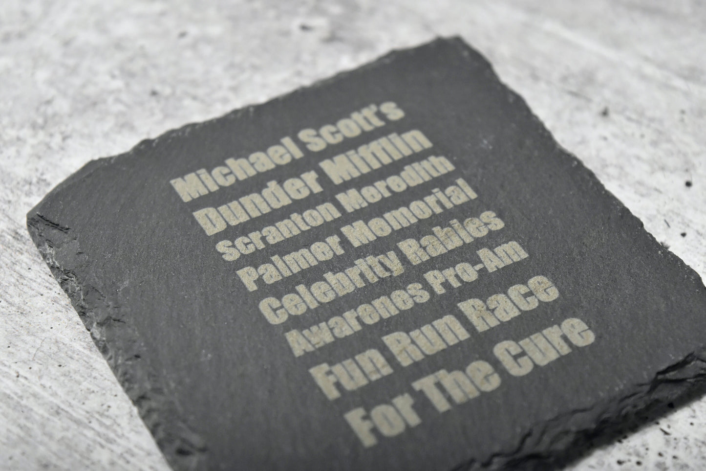 michael scott's dunder mifflin scranton meredith palmer memorial celebrity rabies awareness pro-am fun run race for teh cure