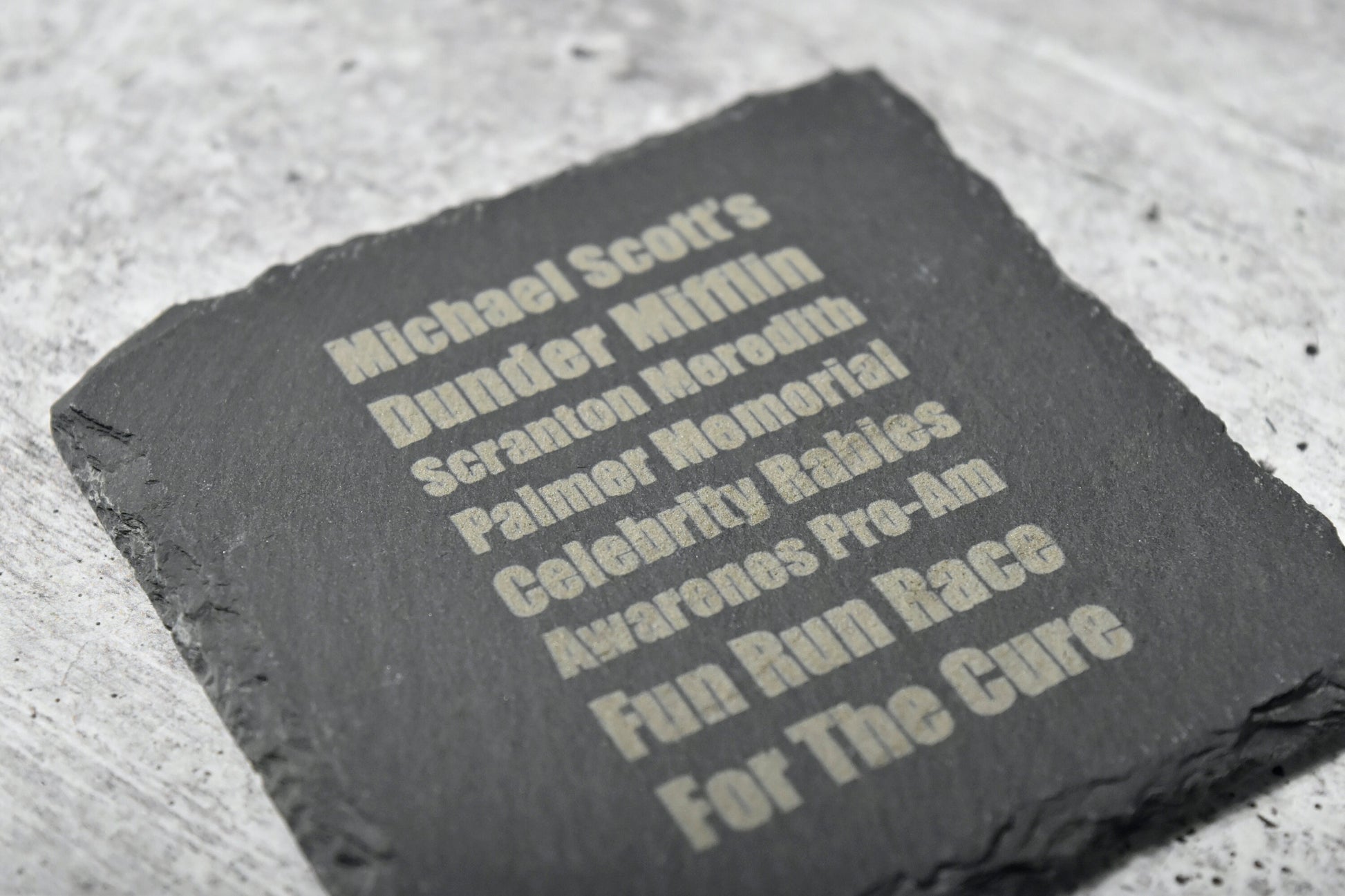 michael scott's dunder mifflin scranton meredith palmer memorial celebrity rabies awareness pro-am fun run race for teh cure